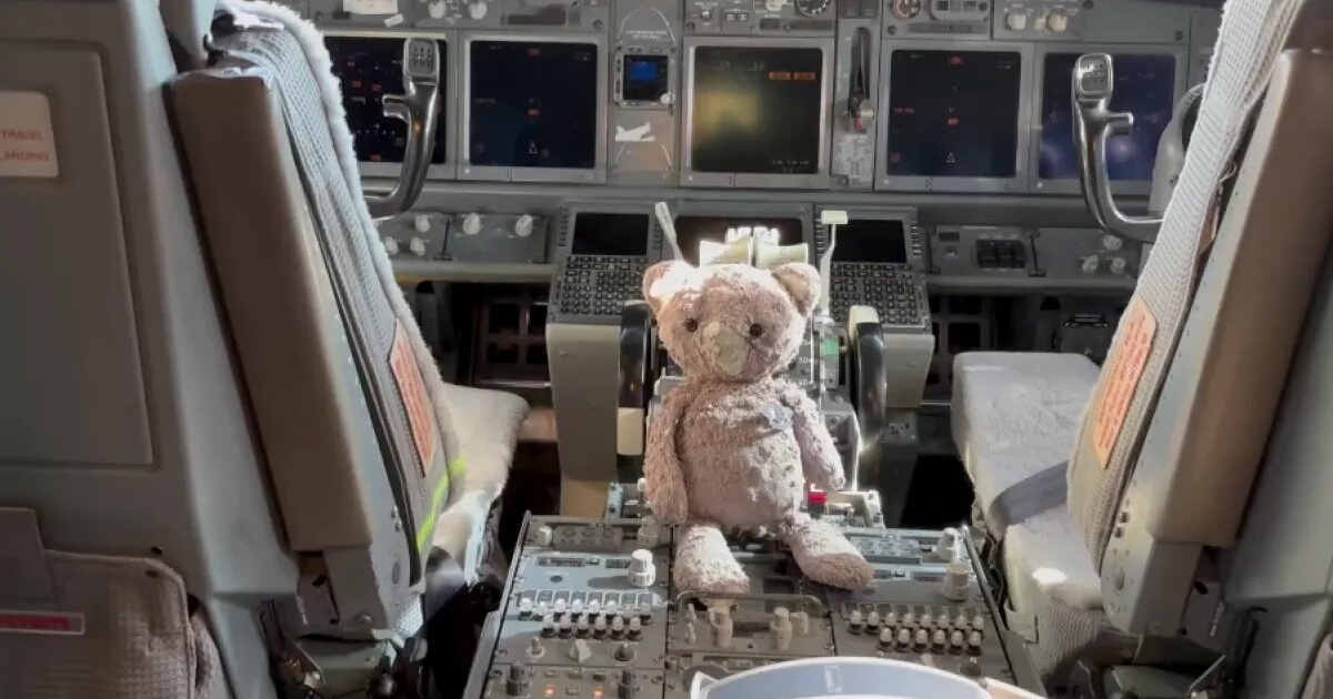 Bobby's Big Adventure At DFW Airport