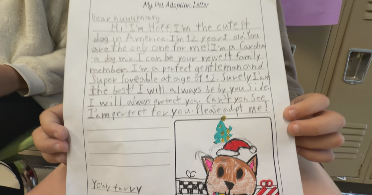 Belton Third Graders Are Gettings Dogs Adopted