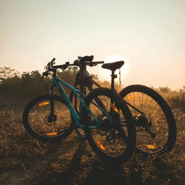 Two Stolen Bikes And The Denison PD