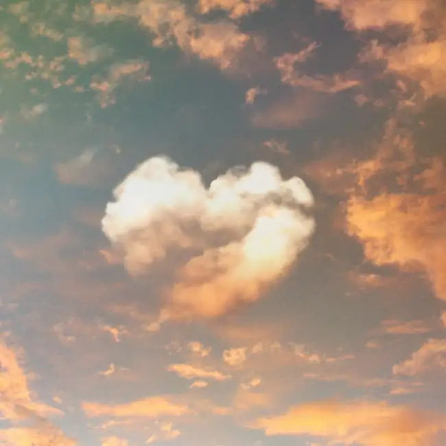 Am I Leading With Love? | Morning Motivator