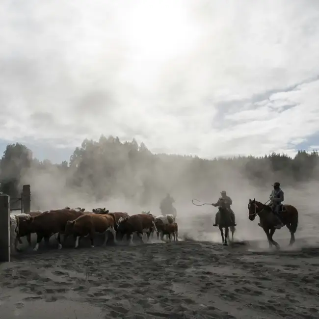 The Palo Pinto Ranchers Who Stayed Behind