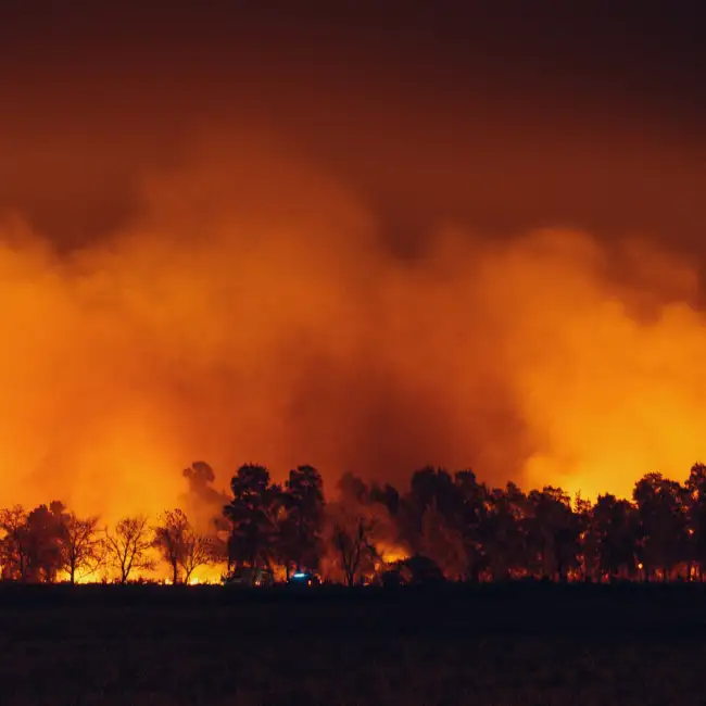 Two Friends, Two Semis, One Mission In The Ross Fire