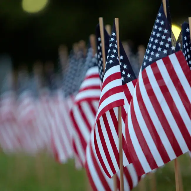 2,977 Flags In Midlothian