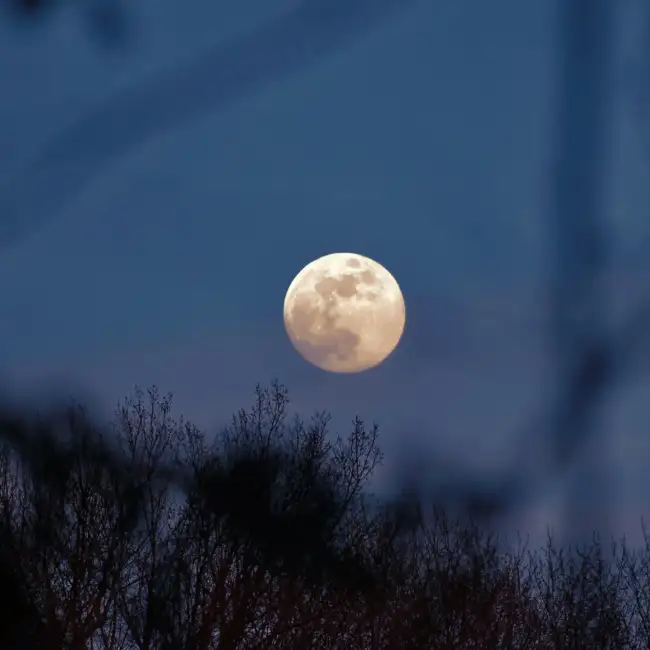 Shine Like The Moon | Morning Motivator