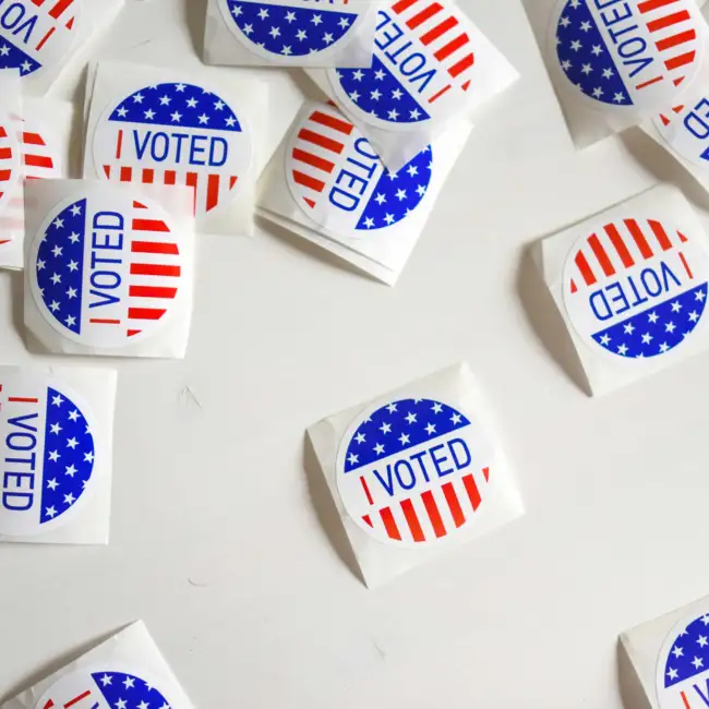 Brinda's 'I Voted' Sticker For Williamson County